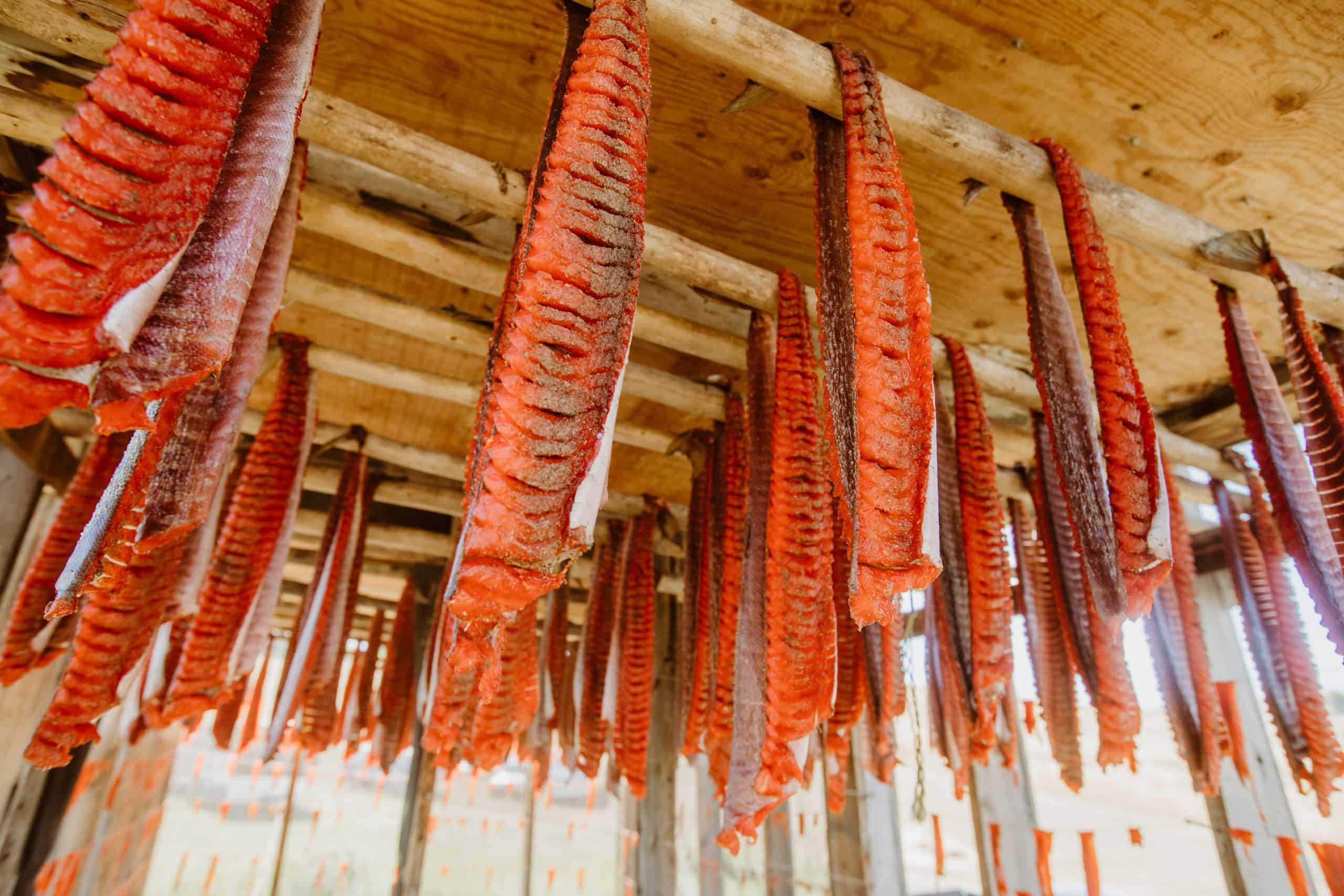 Sockeye Salmon drying