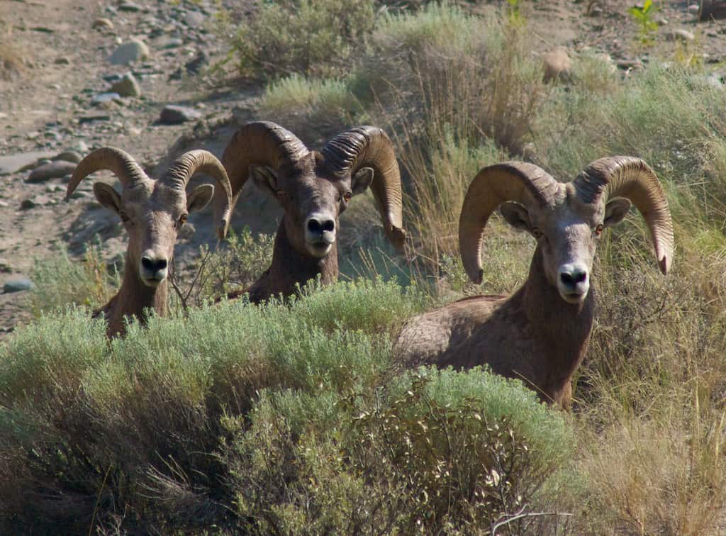 5415697167_47442aaa49_b