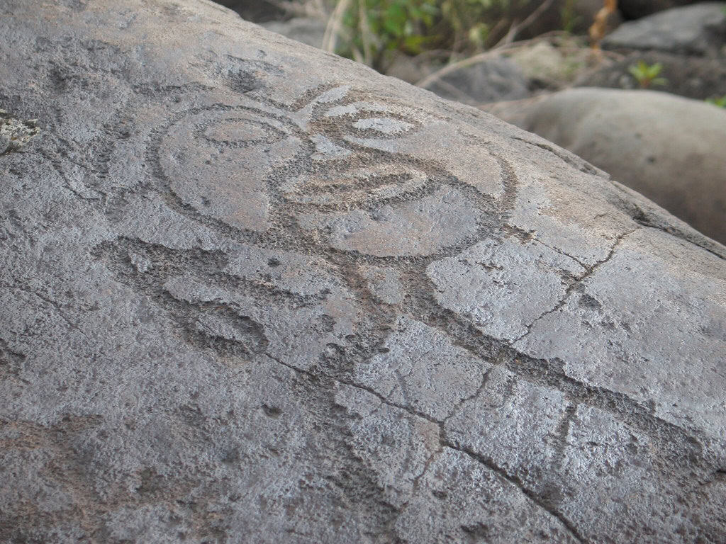 5415697177_971d462076_b