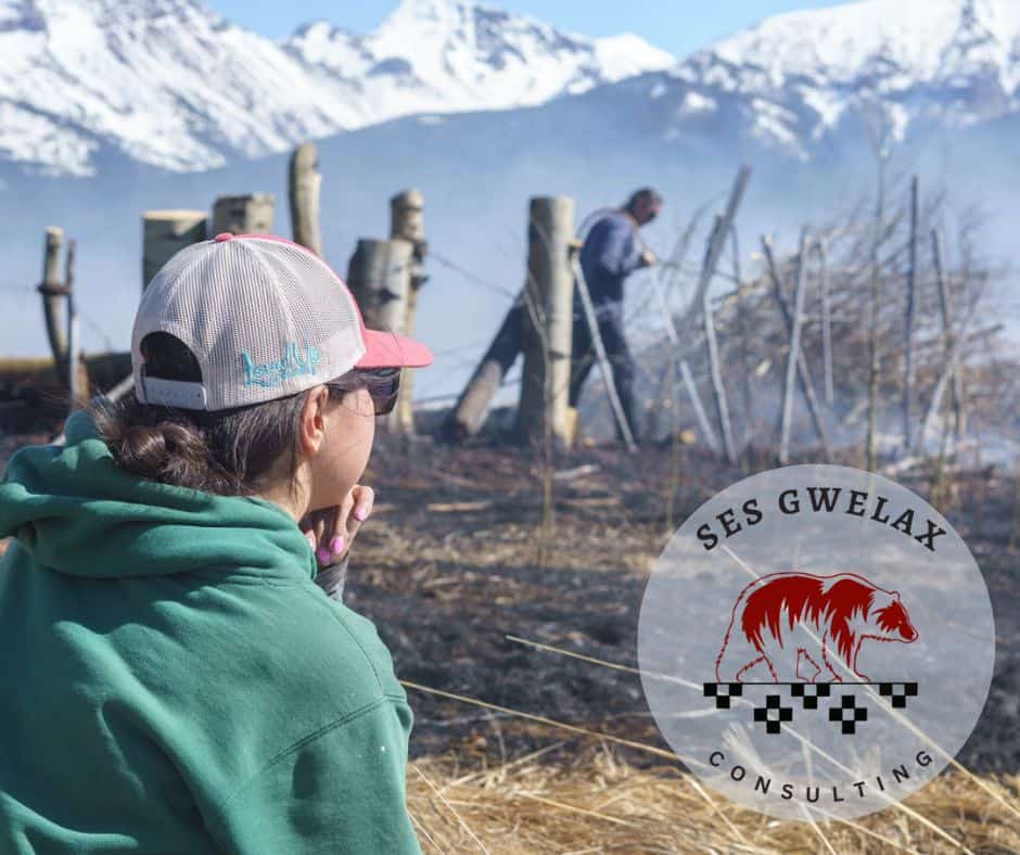 SesGwelaxConsulting01