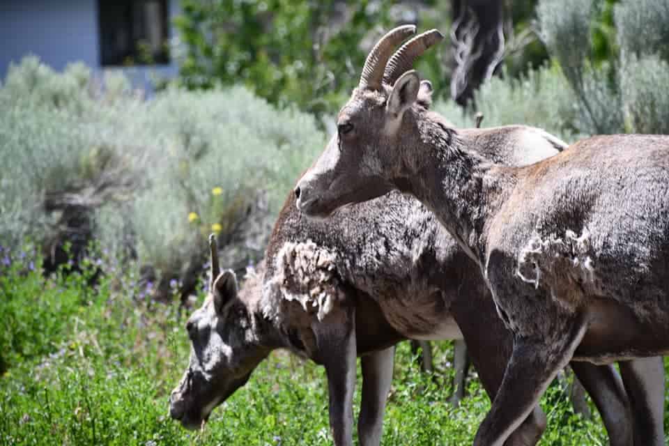 494008822_1238299354971507_2535508453196260860_n